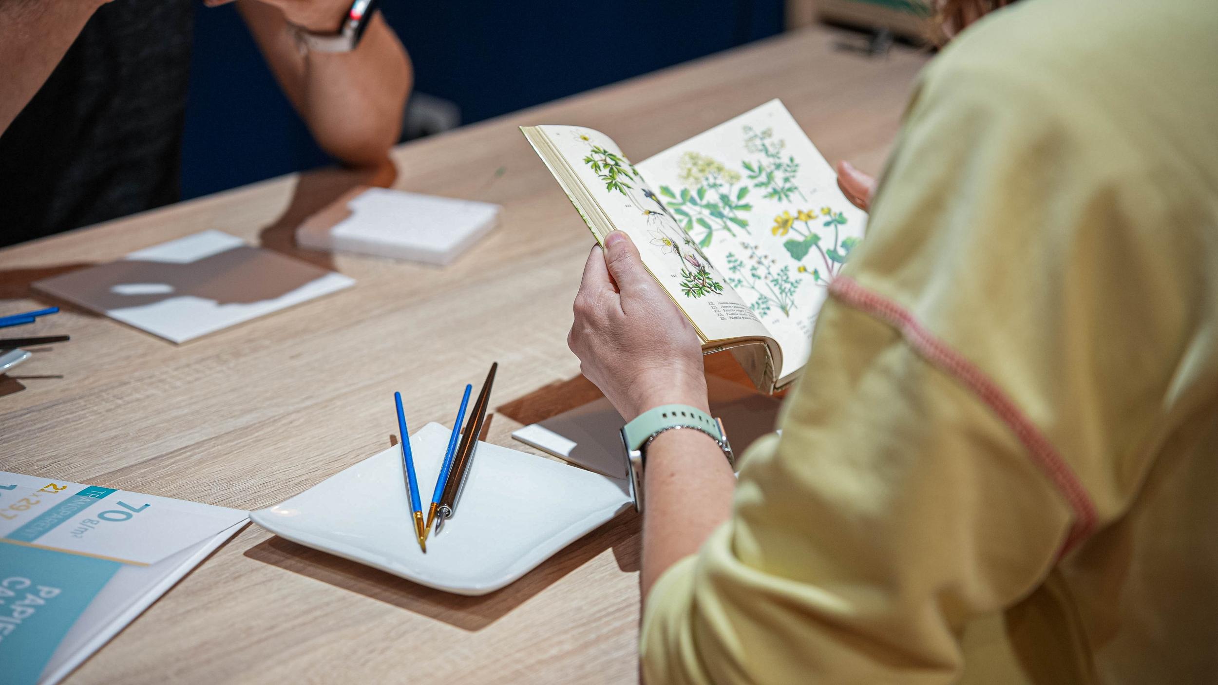 Décorez votre porcelaine au Bleu d'Arras avec Isabelle - Image n°6 - Wecandoo