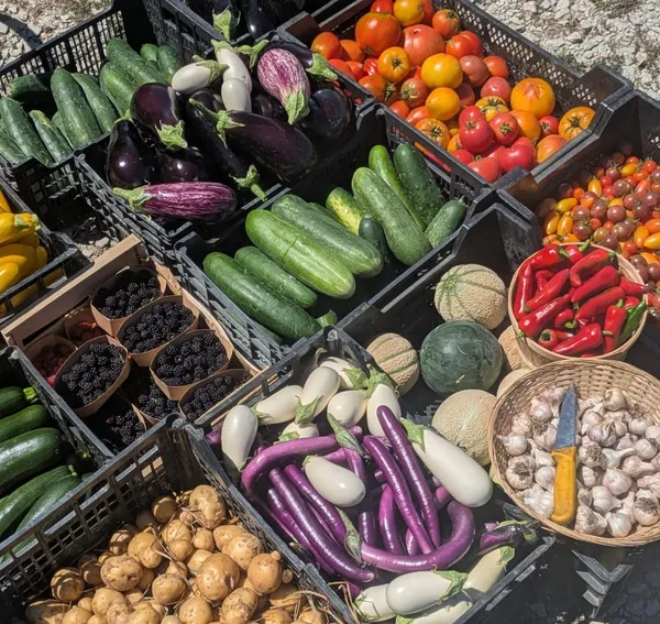 Découvrez le maraîchage avec Chloé et Delphine - Afbeelding nr. 3 - Wecandoo
