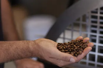 Torréfiez votre propre café