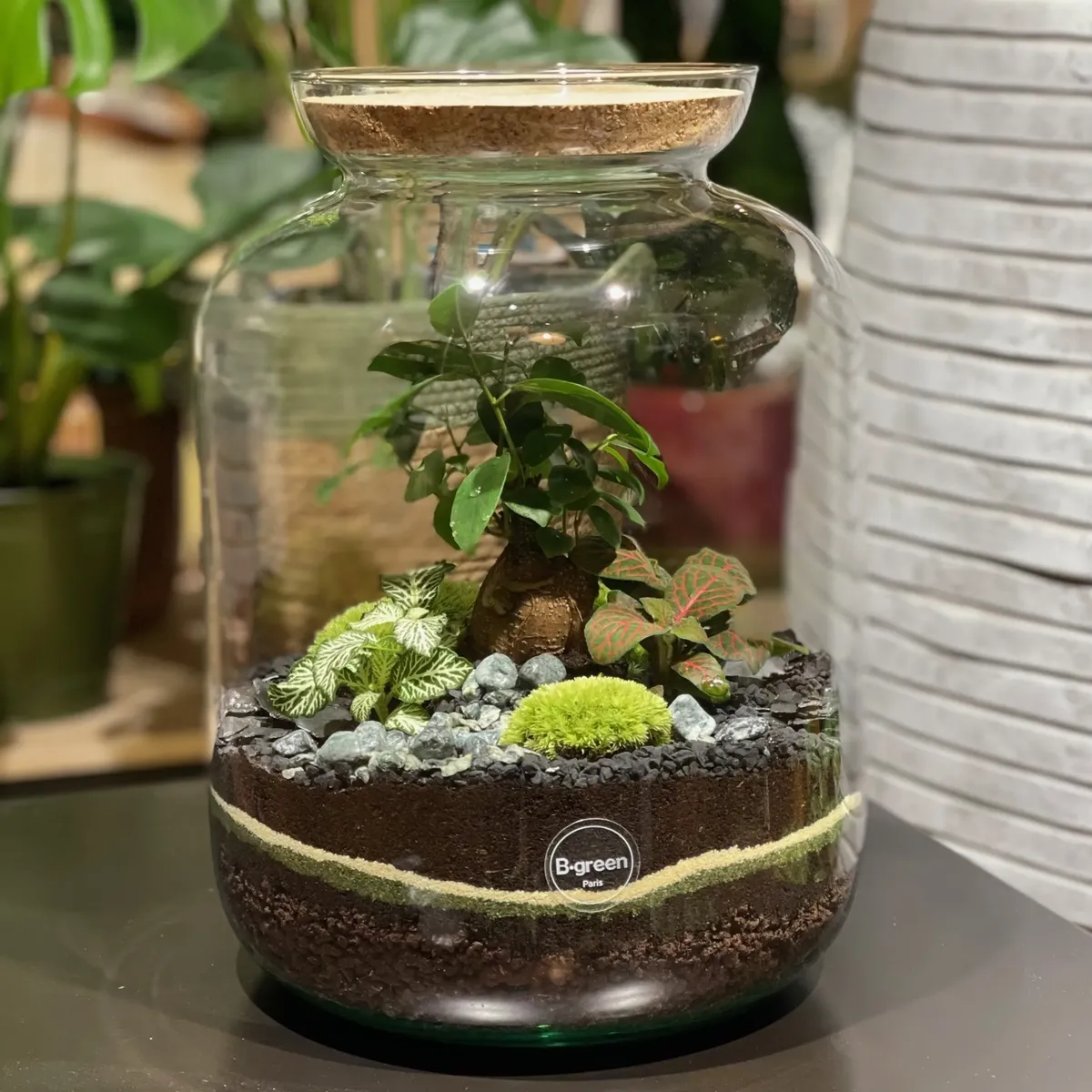 Créez votre capsule végétale XXL à deux