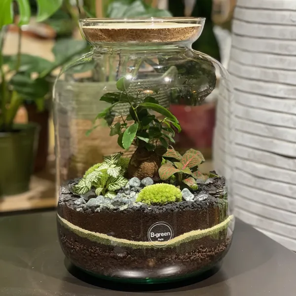 Créez votre capsule végétale XXL à deux