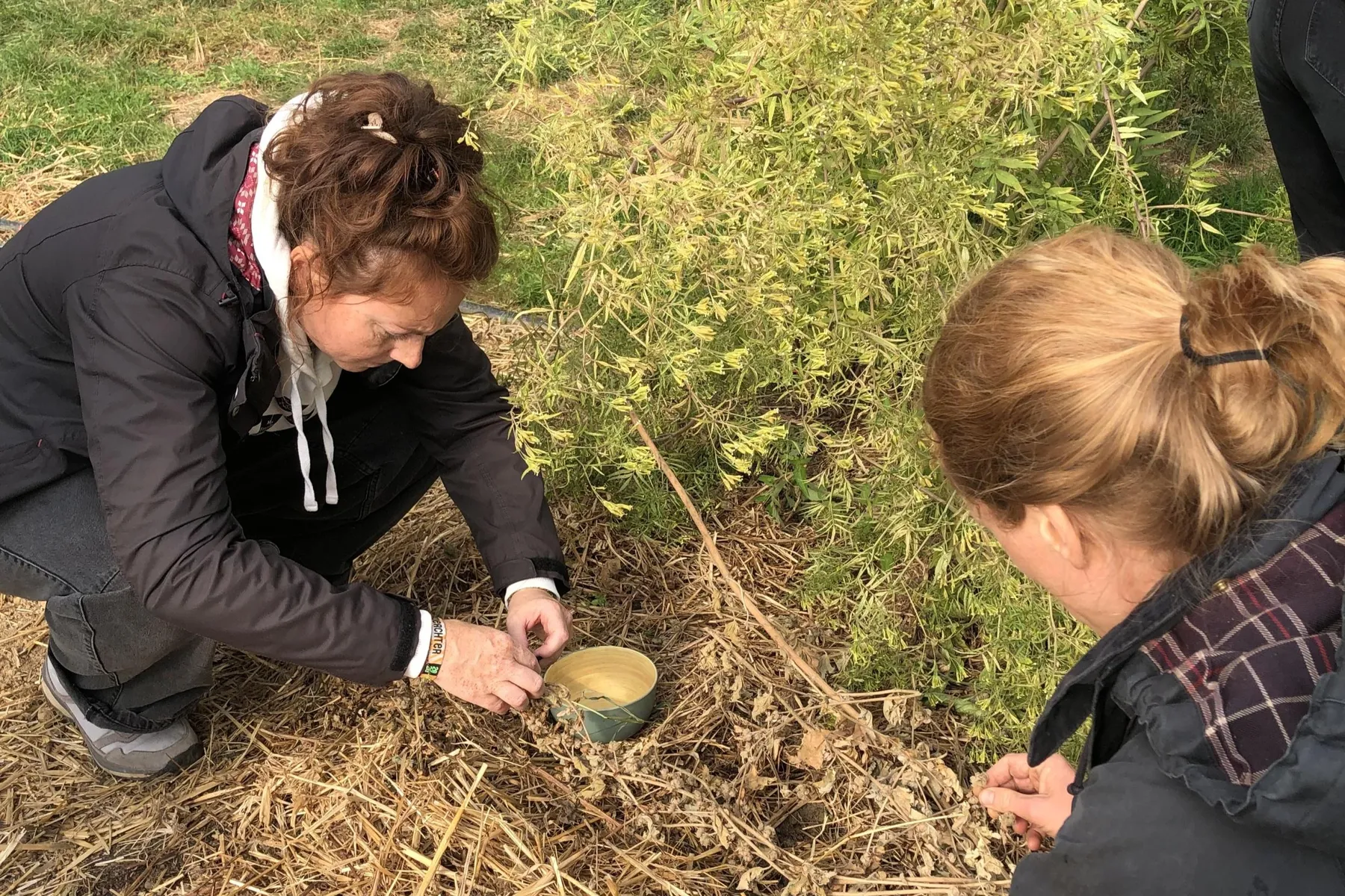 Semez votre jardin de fleurs - Image n°2 - Wecandoo