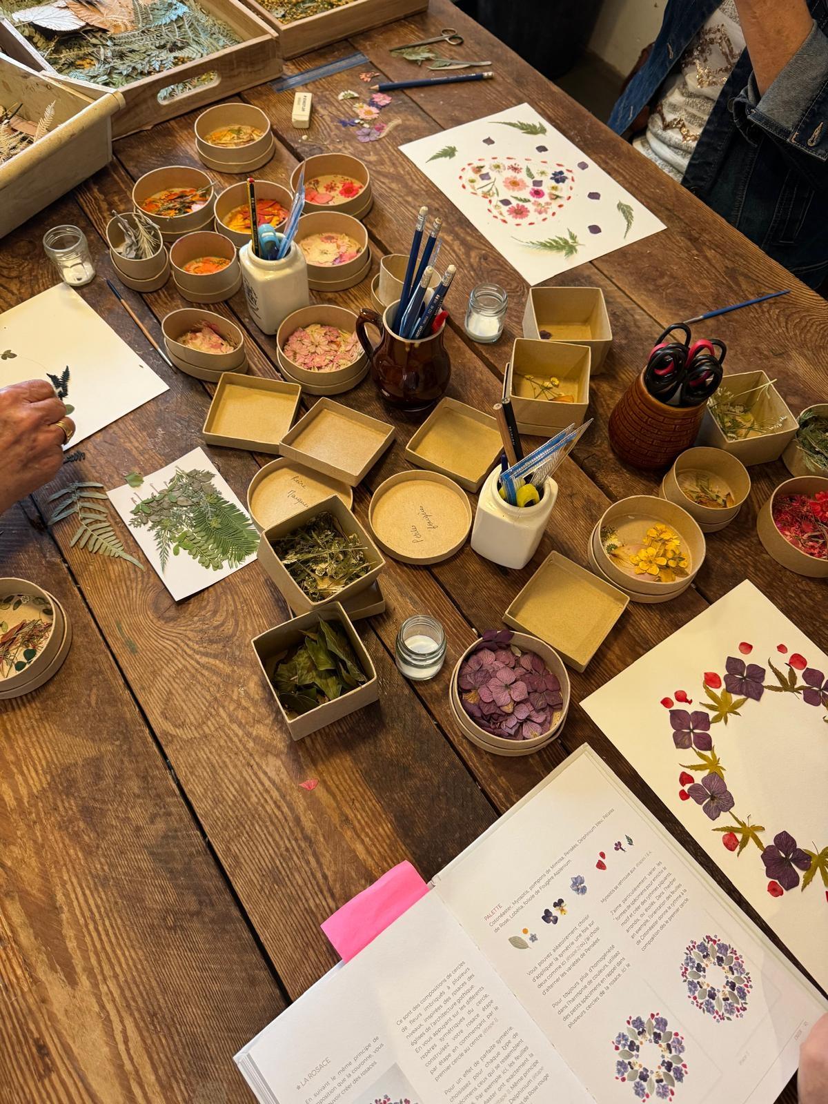 Confectionnez votre herbier - Image n°6 - Wecandoo