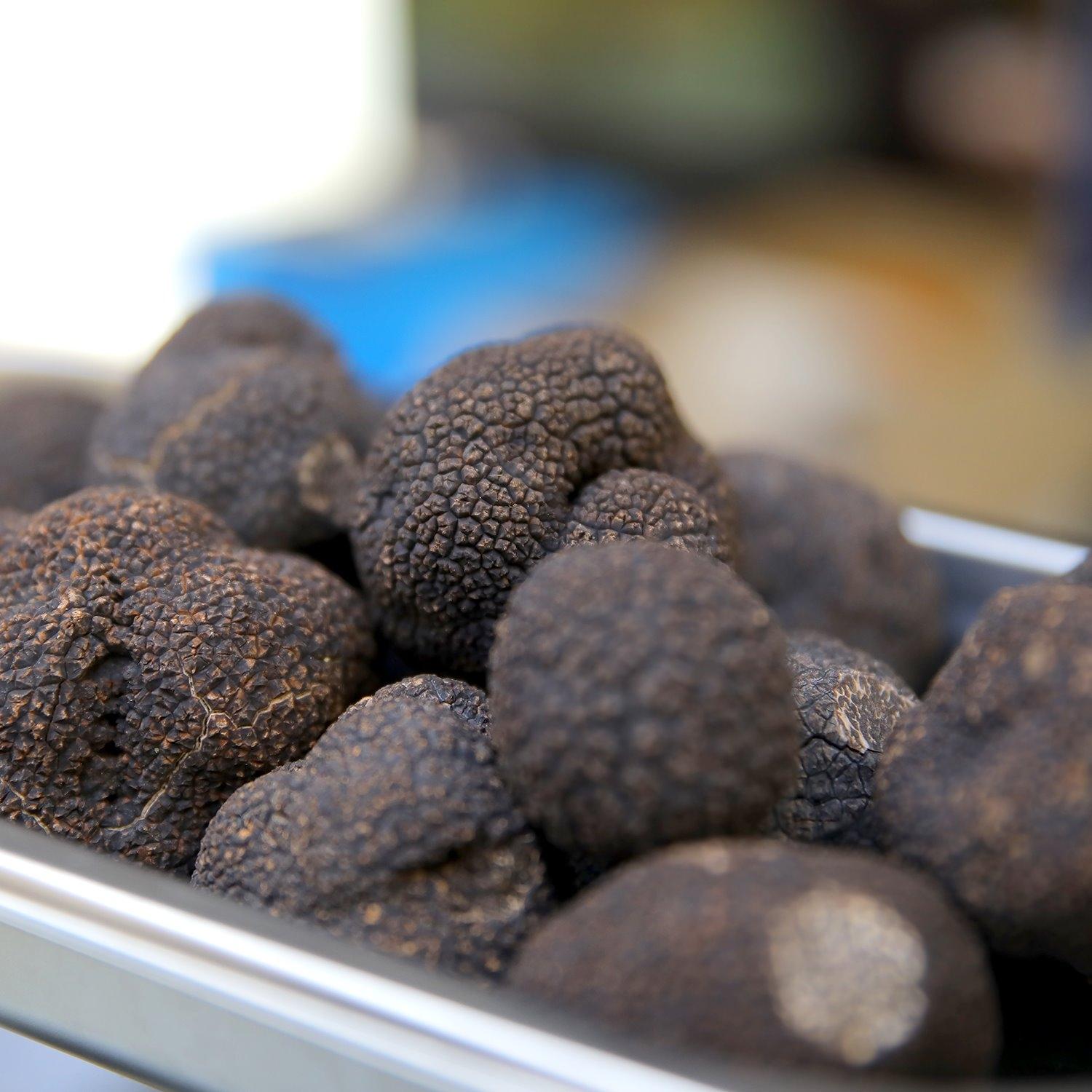 Visitez une truffière et dégustez des mets truffés - Image n°7 - Wecandoo