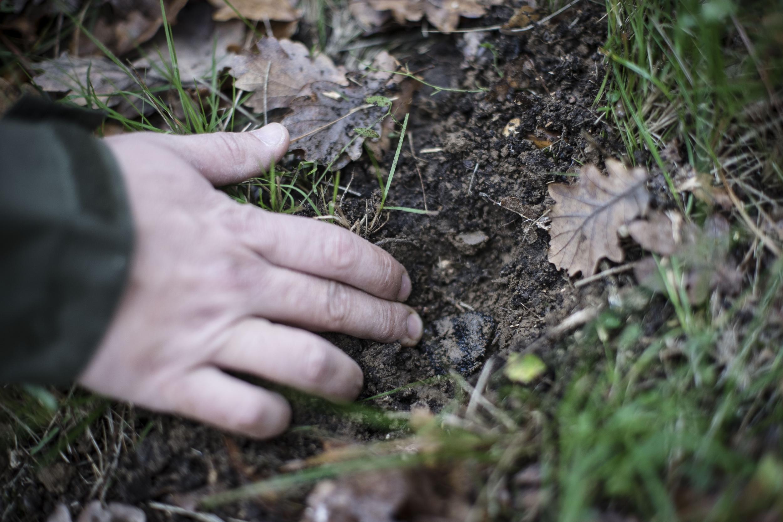 Visitez une truffière et dégustez des mets truffés - Image n°8 - Wecandoo