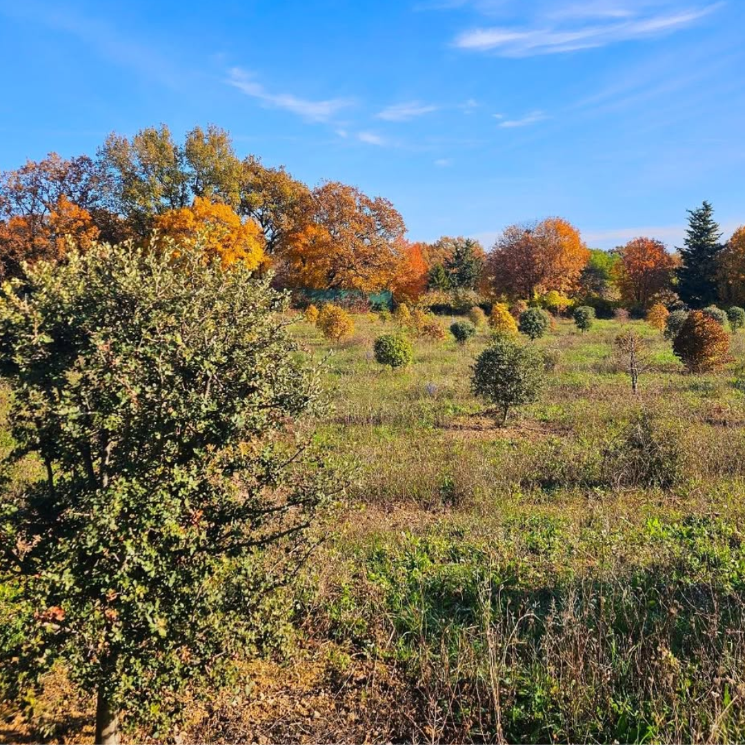 Truffez votre fromage - Image n°7 - Wecandoo