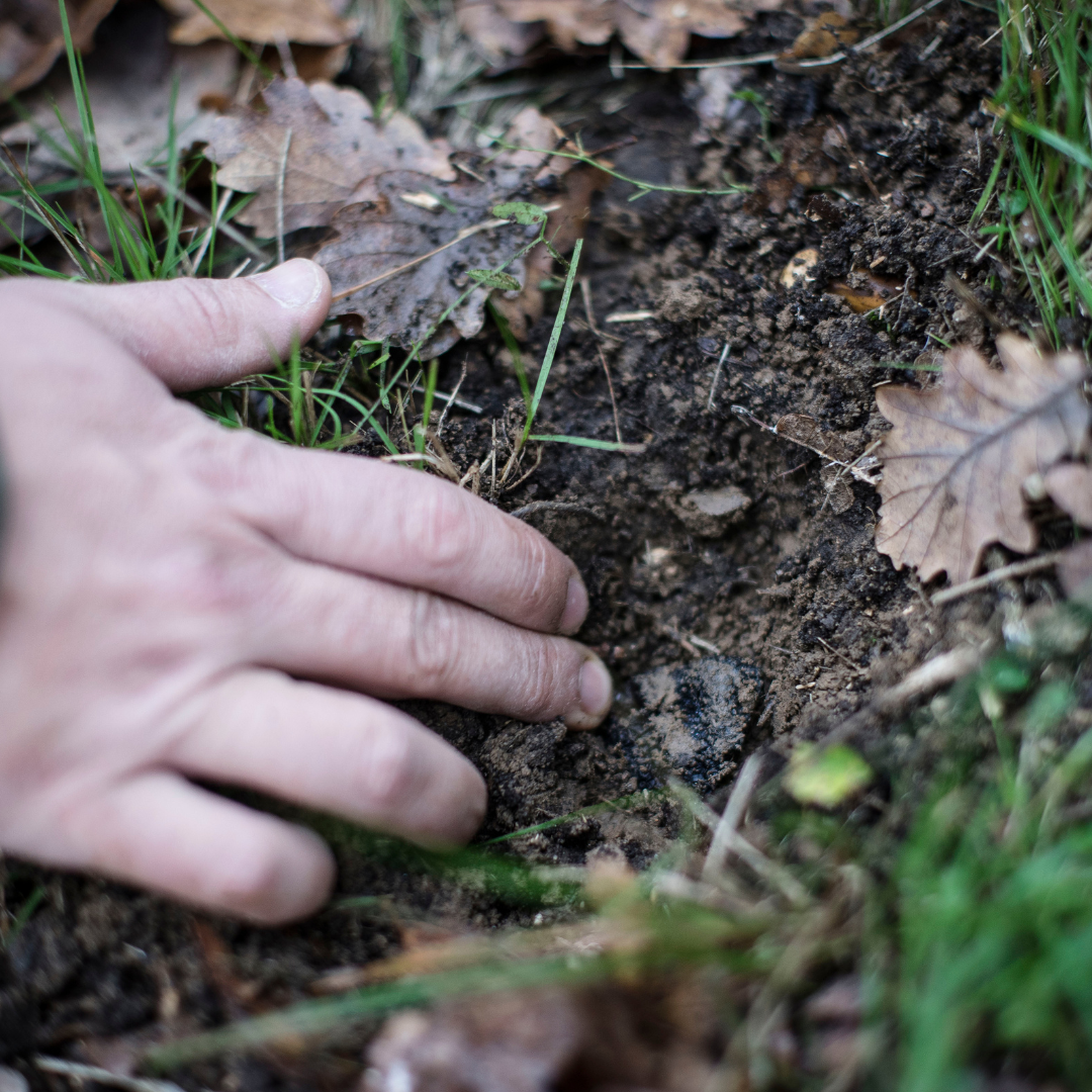 Truffez votre fromage - Image n°9 - Wecandoo