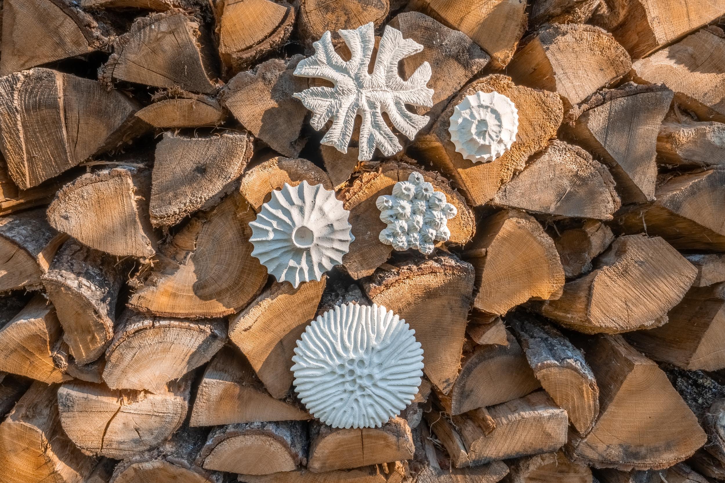 Créez votre trio de décorations murales d'inspiration marine avec Justine - Image n°1 - Wecandoo