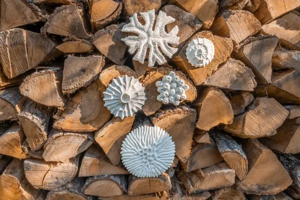 Créez votre trio de décorations murales en béton