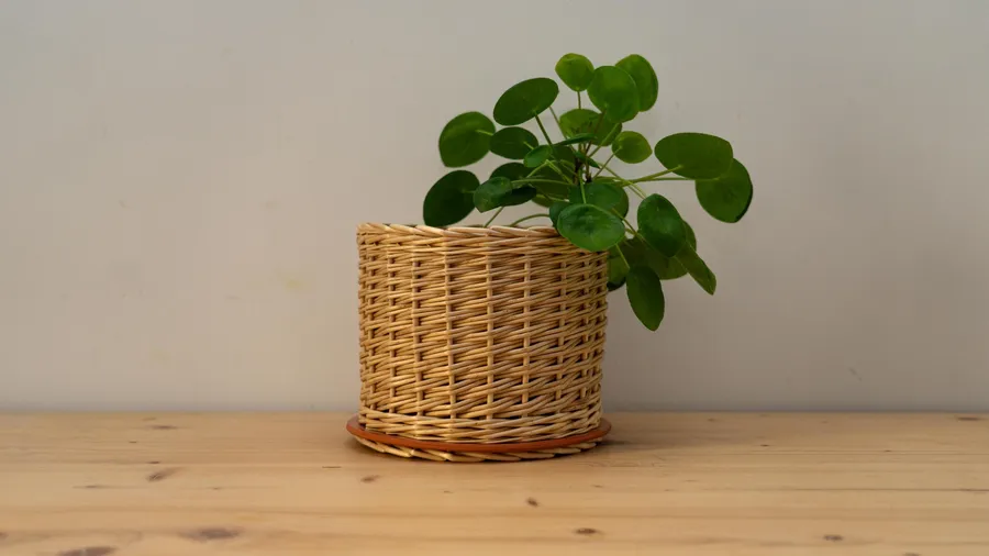 Tressez votre cache-pot en osier sur une base en céramique avec Julie - Image n°1 - Wecandoo