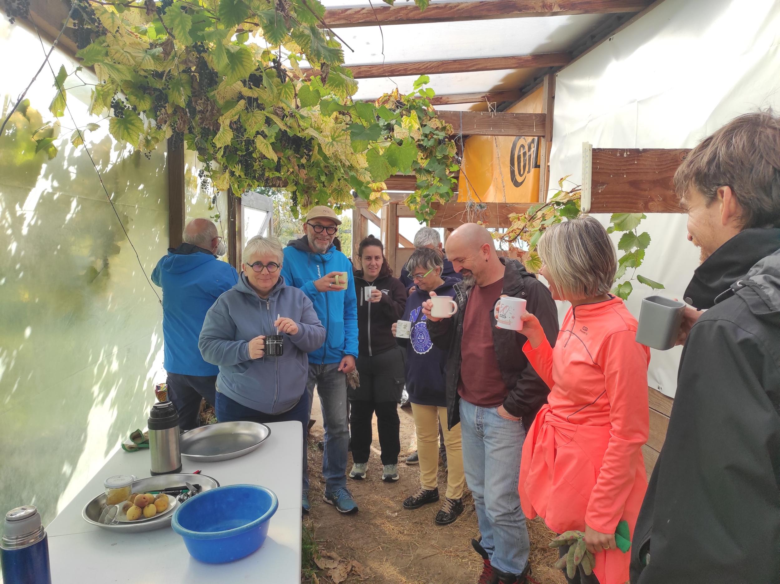 Réunissez votre équipe et participez à la création d'une butte de permaculture avec Blandine - Image n°10 - Wecandoo