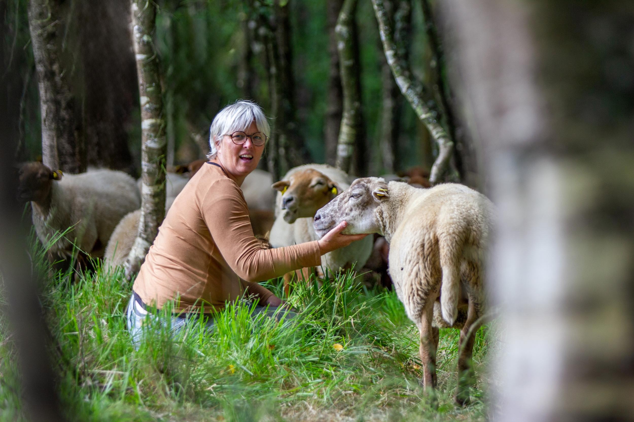 Visitez un élevage de brebis et réalisez vos créations en laine sur une journée avec Françoise - Image n°8 - Wecandoo