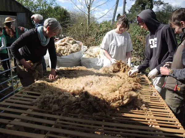 Visitez un élevage de brebis et réalisez vos créations en laine sur une journée avec Françoise - Afbeelding nr. 4 - Wecandoo