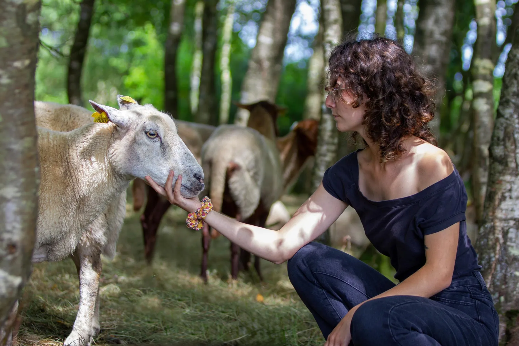 Visitez un élevage de brebis et feutrez votre création en laine avec Françoise - Afbeelding nr. 3 - Wecandoo