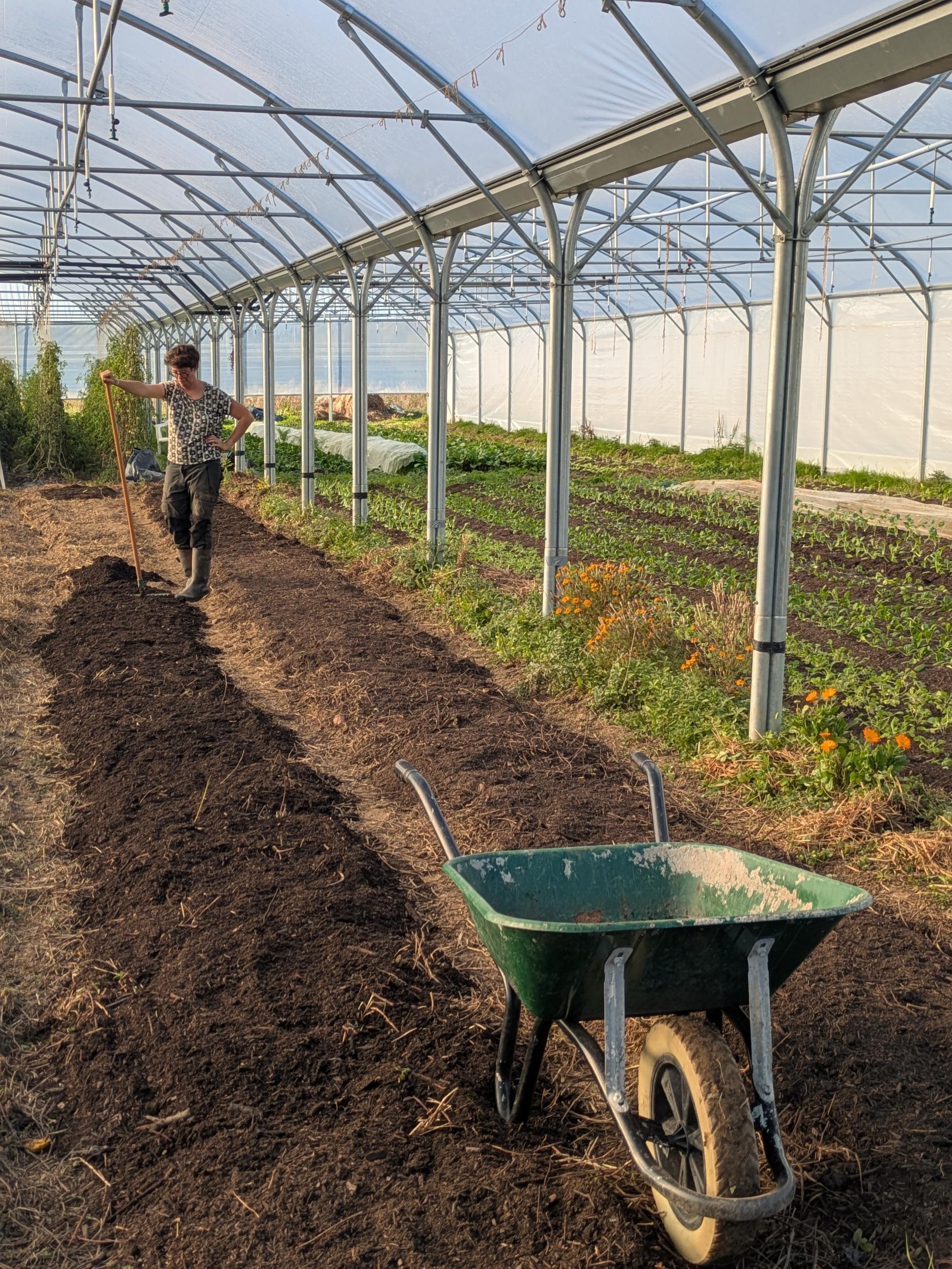 Cueillez et cuisinez les légumes de la ferme - Image n°8 - Wecandoo