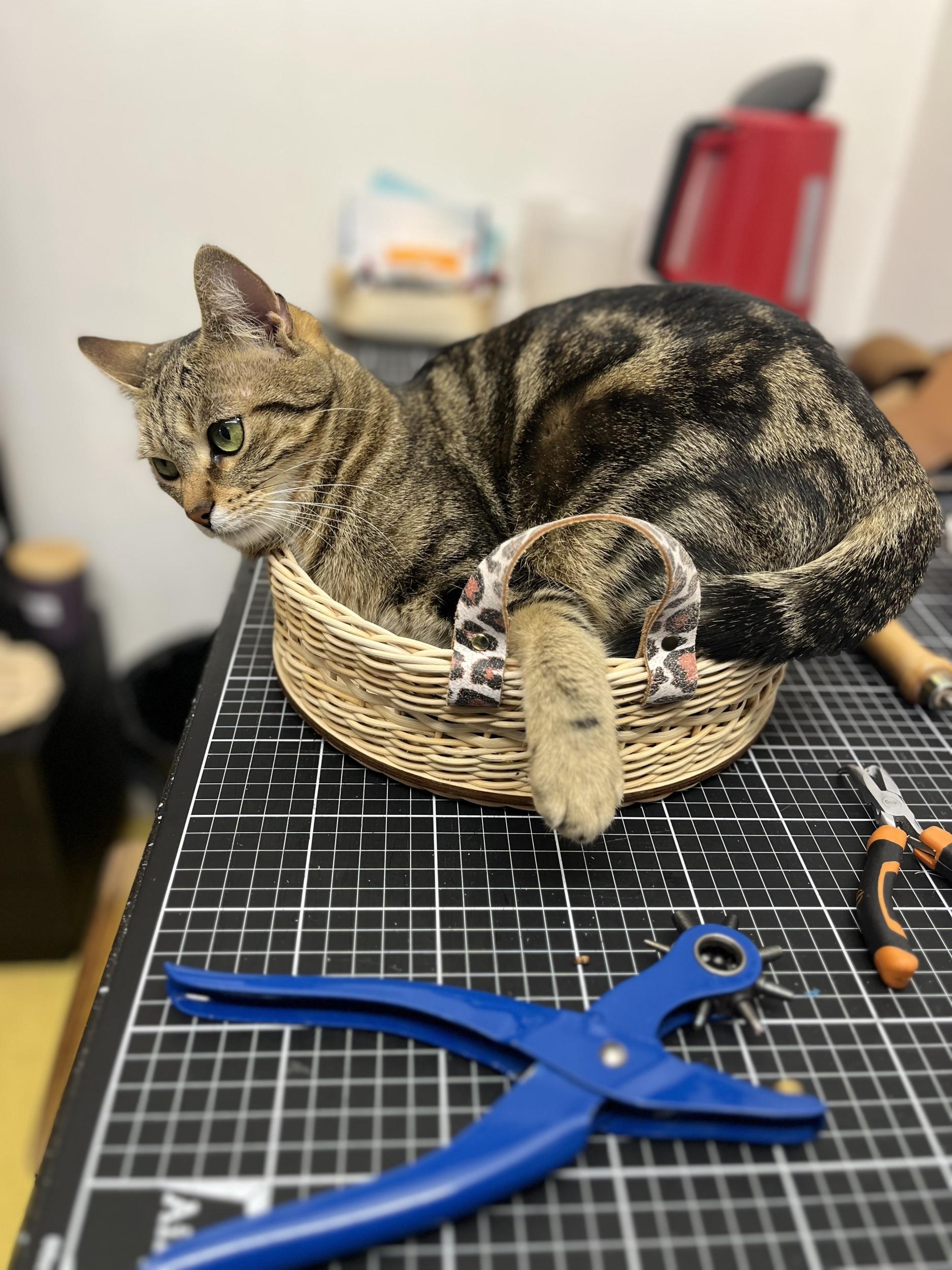 Réalisez votre plateau apéritif rond en rotin et cuir - Image n°2 - Wecandoo