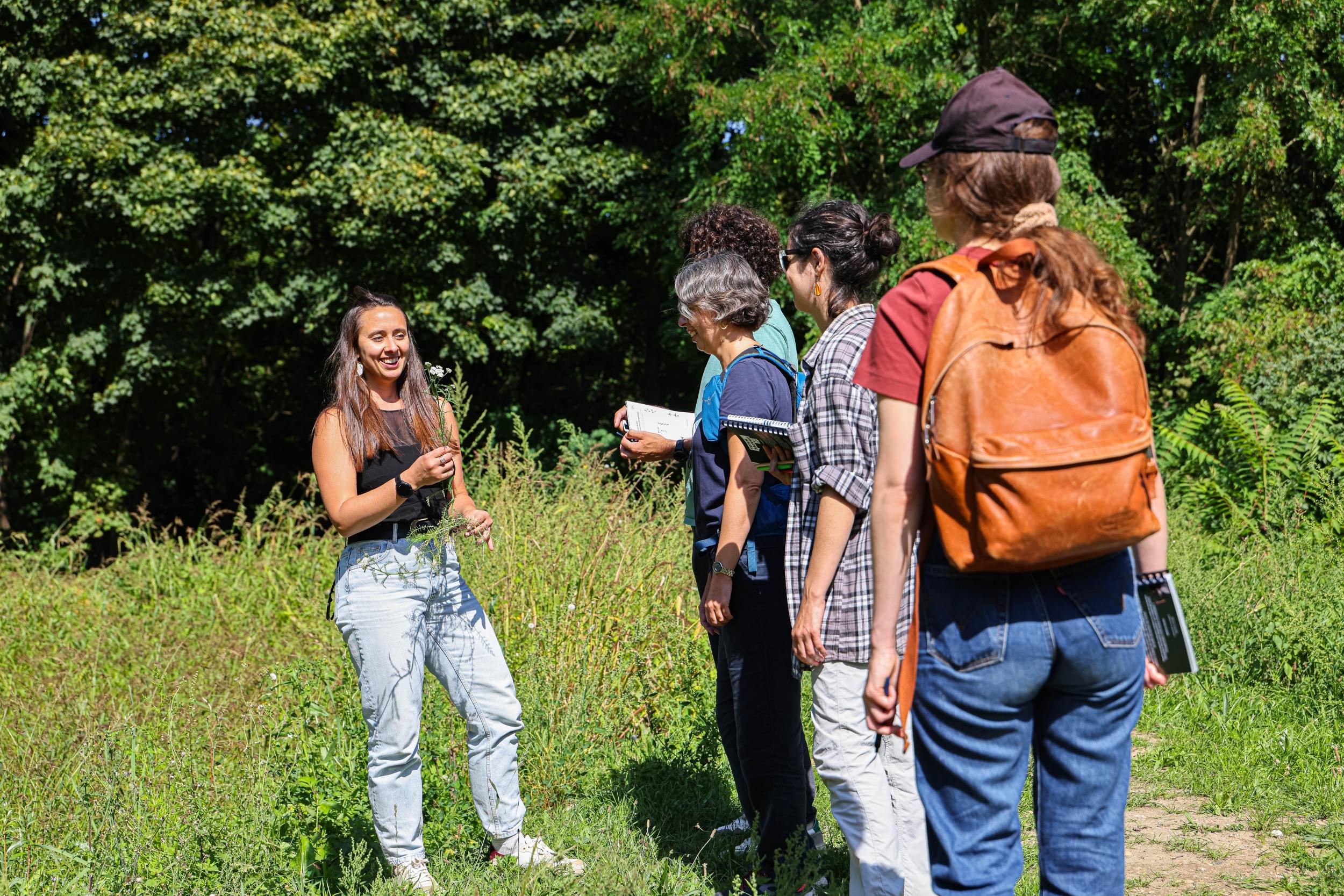 Découvrez les plantes sauvages le temps d'une balade dans le bois de Vincennes - Image n°9 - Wecandoo
