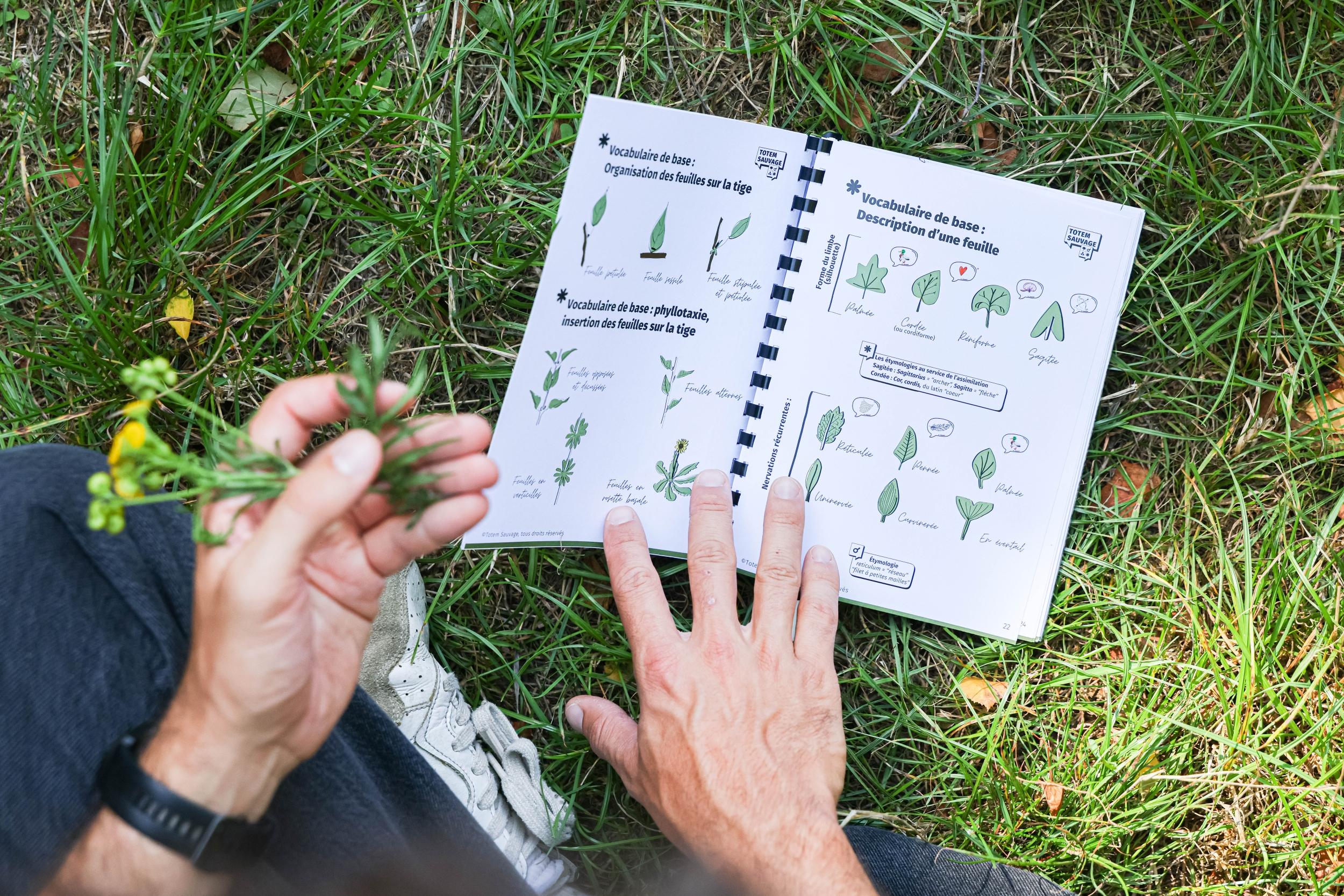 Immergez-vous dans le monde des plantes sauvages le temps d'une journée - Image n°10 - Wecandoo