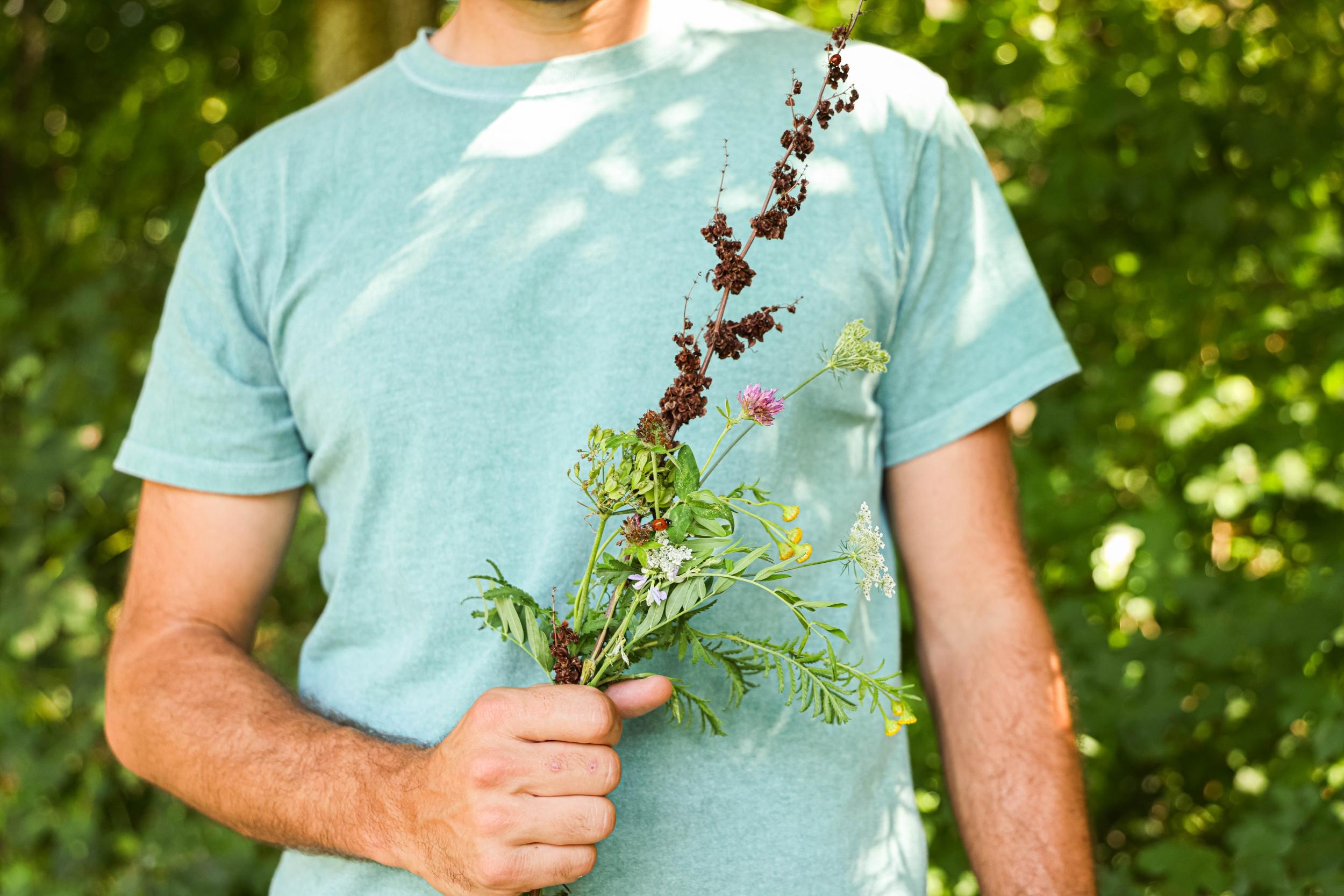 Immergez-vous dans le monde des plantes sauvages le temps d'une journée - Image n°5 - Wecandoo