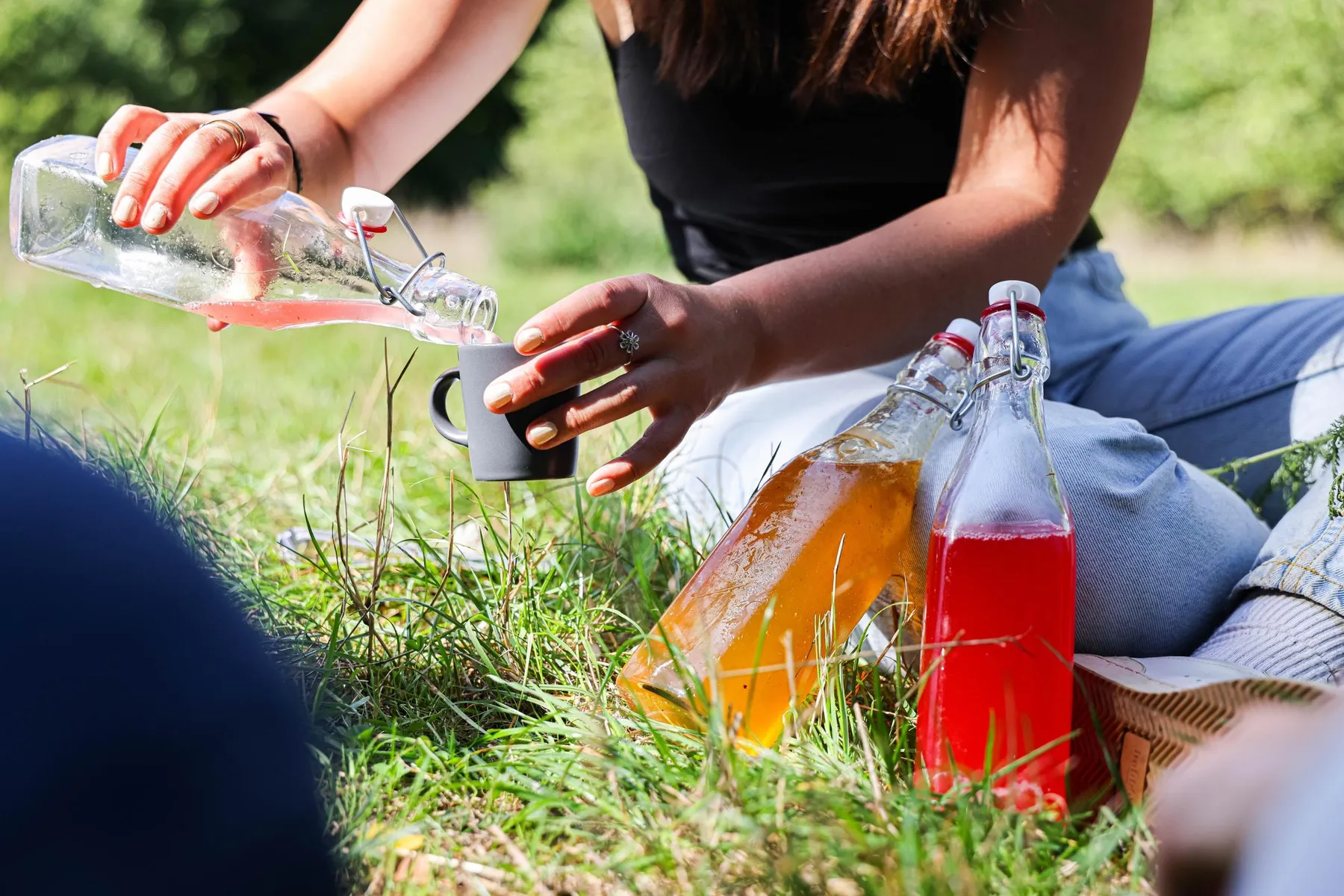 Découvrez les plantes sauvages comestibles le temps d'une balade dans le parc de Saint-Cloud - Image n°4 - Wecandoo