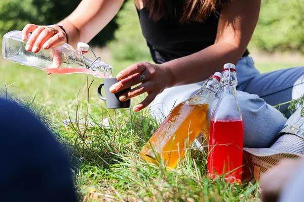 Découvrez les plantes sauvages comestibles le temps d'une balade dans le parc de Saint-Cloud - Image n°4 - Wecandoo