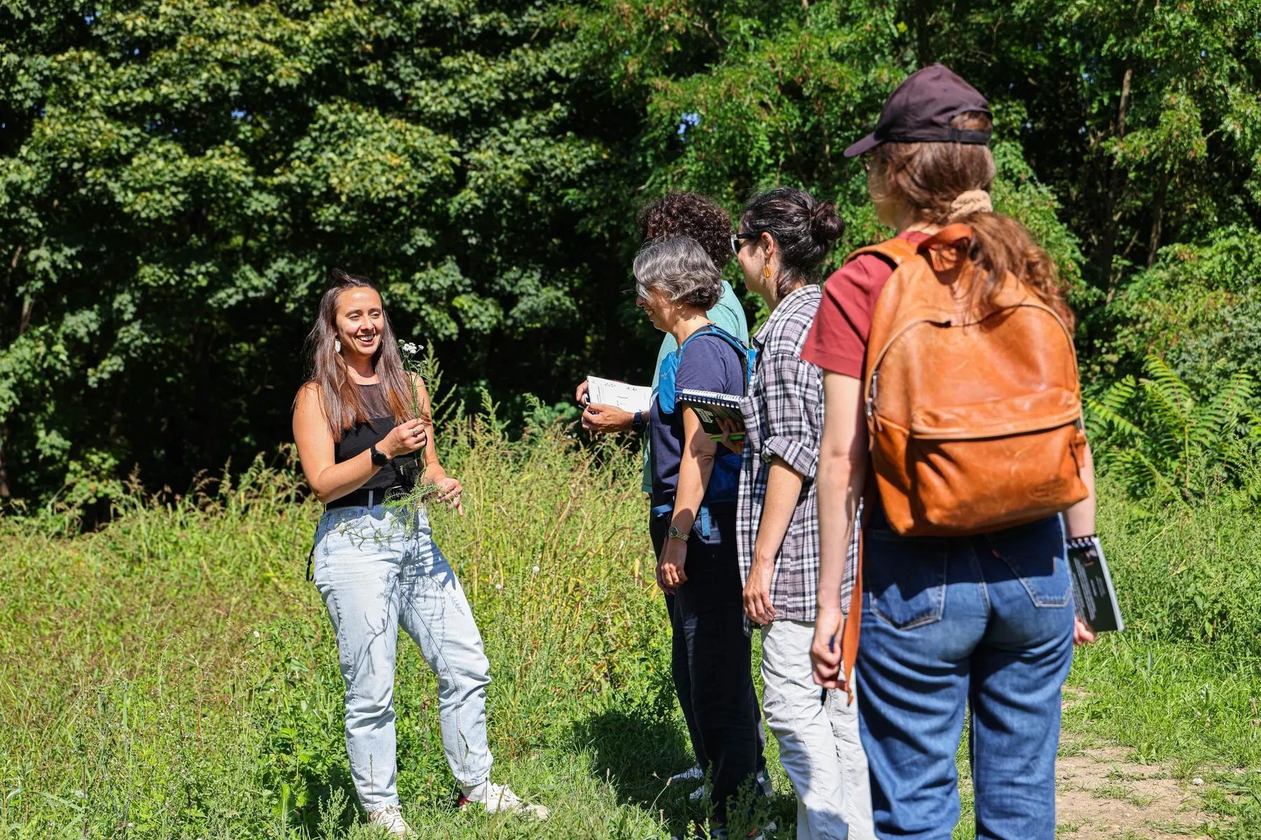 Apprenez à reconnaître les plantes sauvages dans le bois de Vincennes - Image n°3 - Wecandoo
