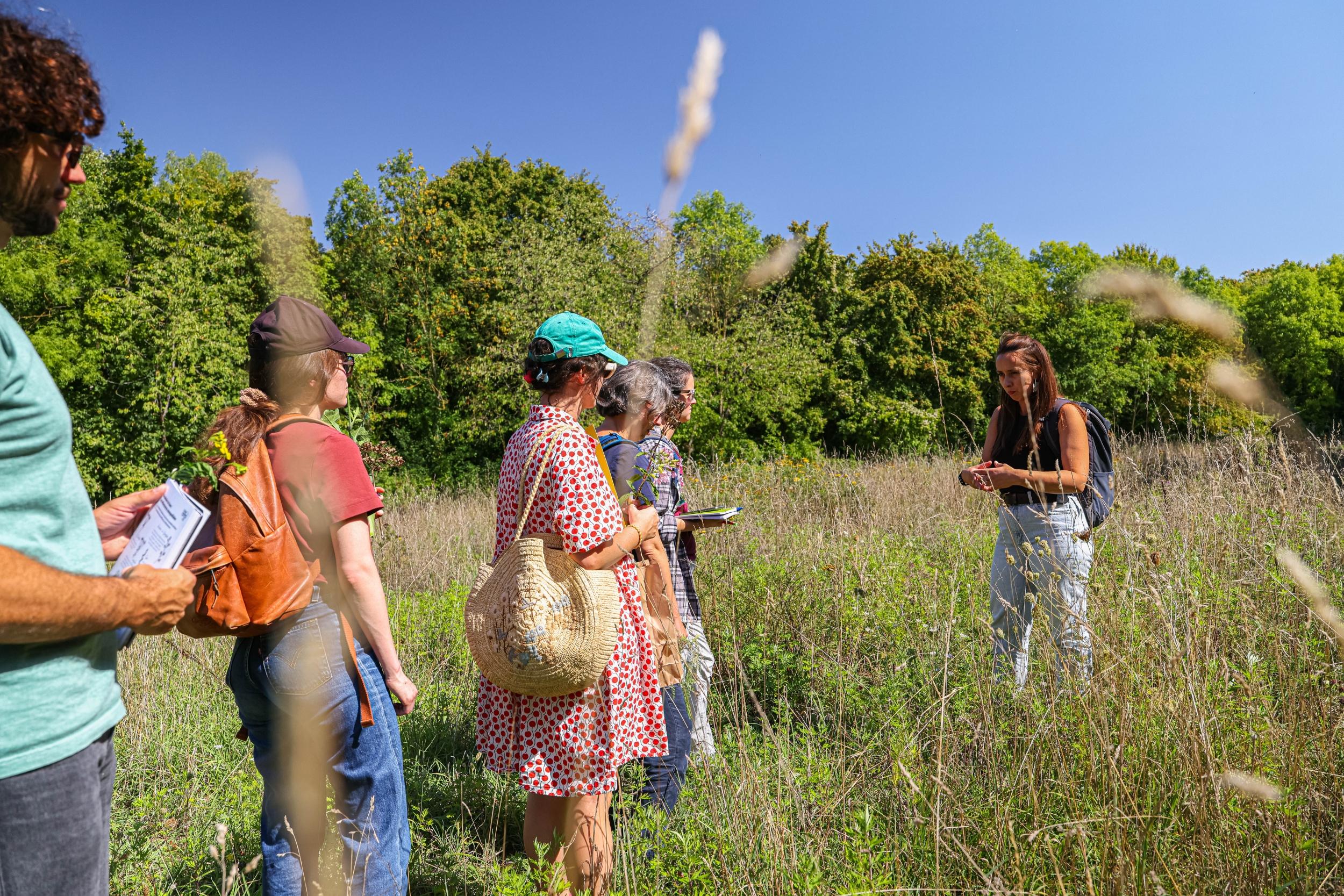 Apprenez à reconnaître les plantes sauvages dans le bois de Vincennes - Image n°9 - Wecandoo
