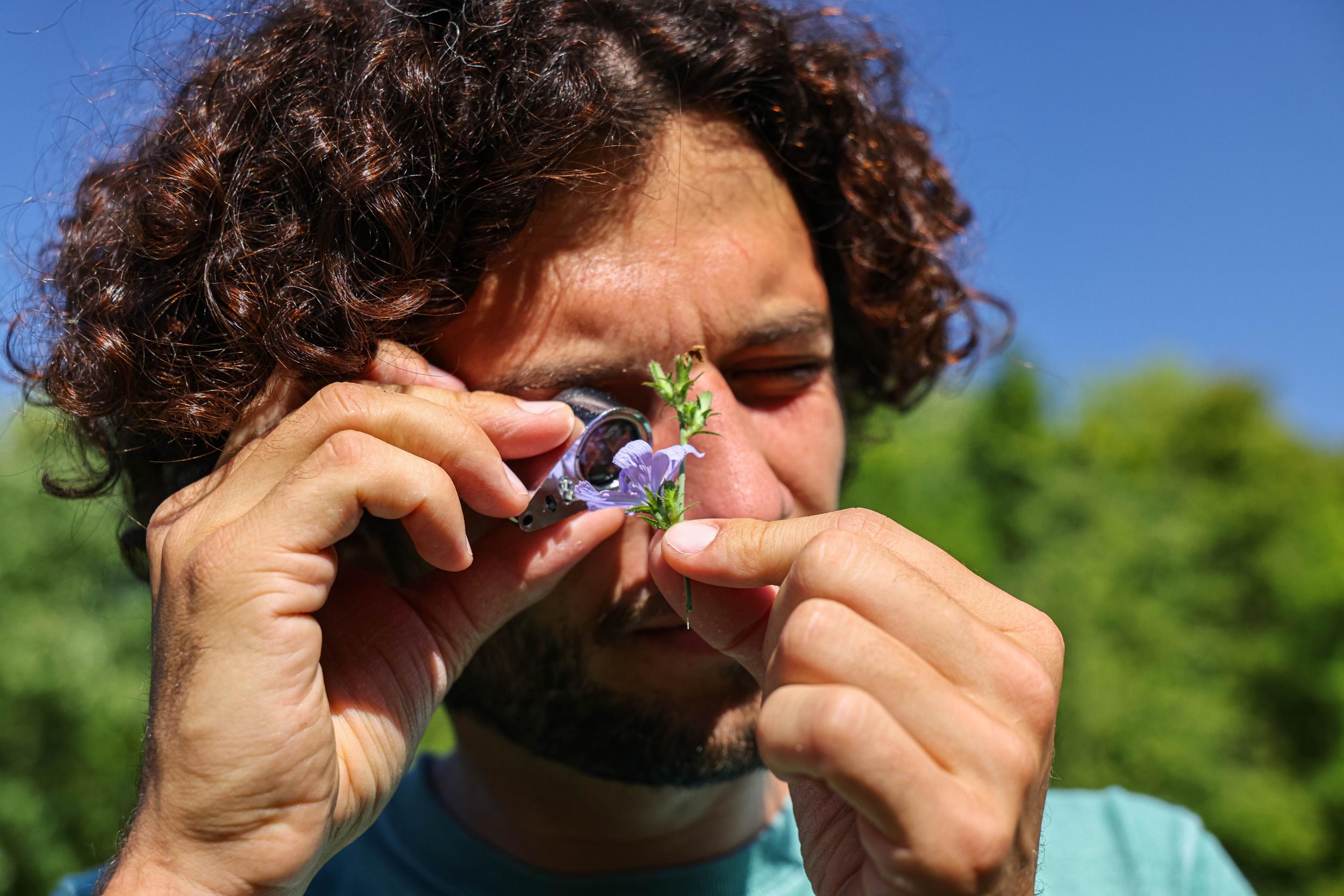 Apprenez à reconnaître les plantes sauvages dans le bois de Vincennes - Image n°8 - Wecandoo