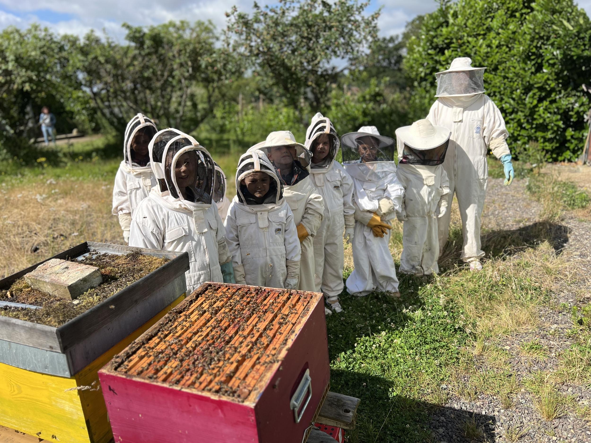 Initiez-vous à l'apiculture - Image n°7 - Wecandoo