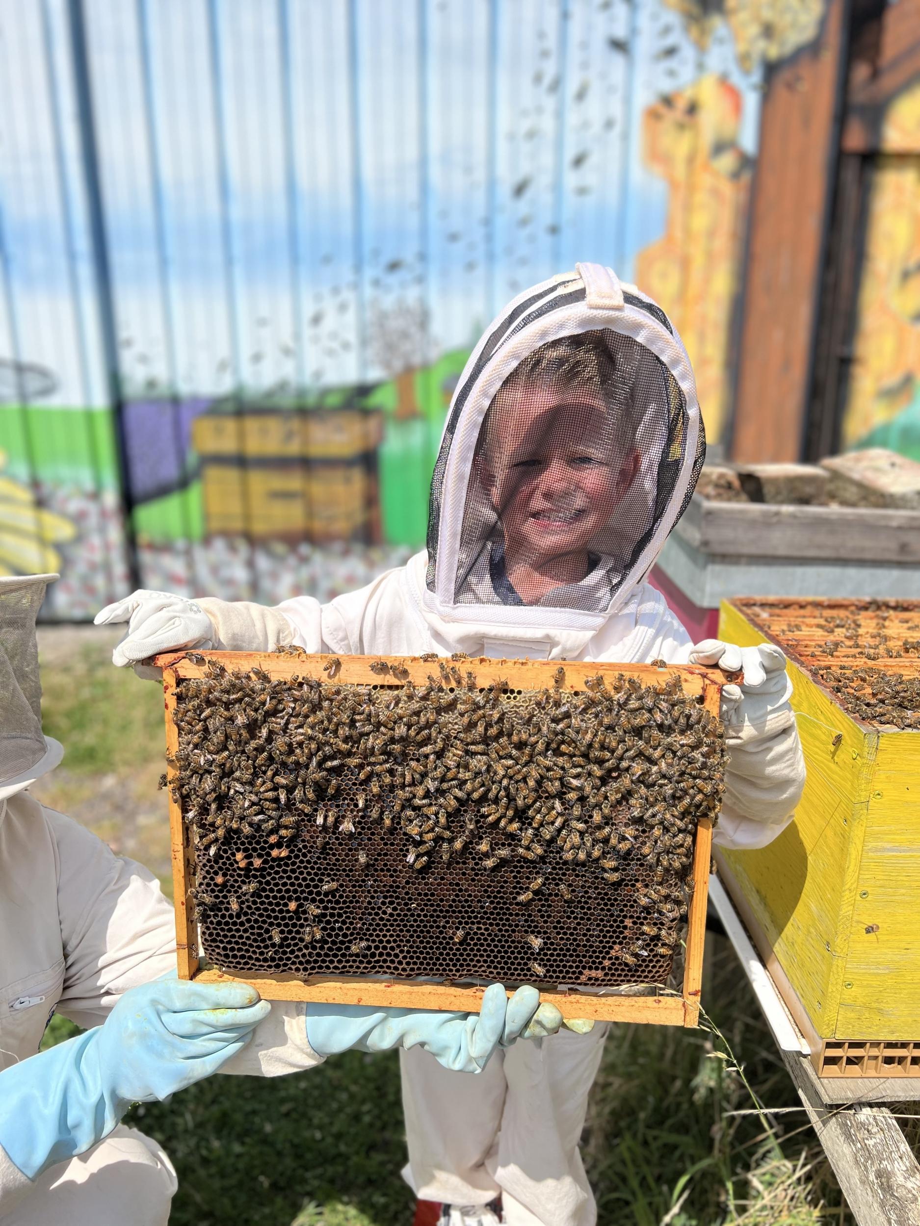 Initiez-vous à l'apiculture - Image n°9 - Wecandoo