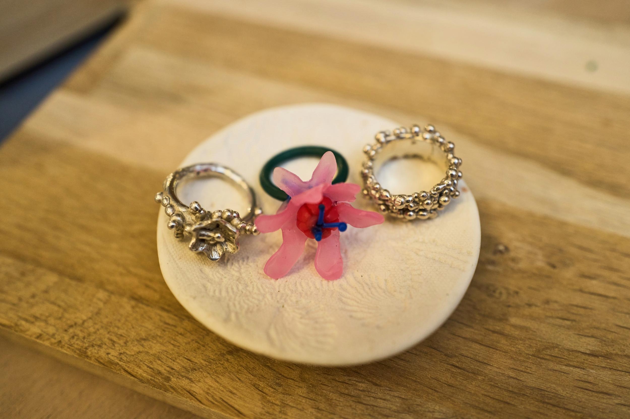 Créez votre bague botanique en argent avec Marie-Laure - Image n°1 - Wecandoo