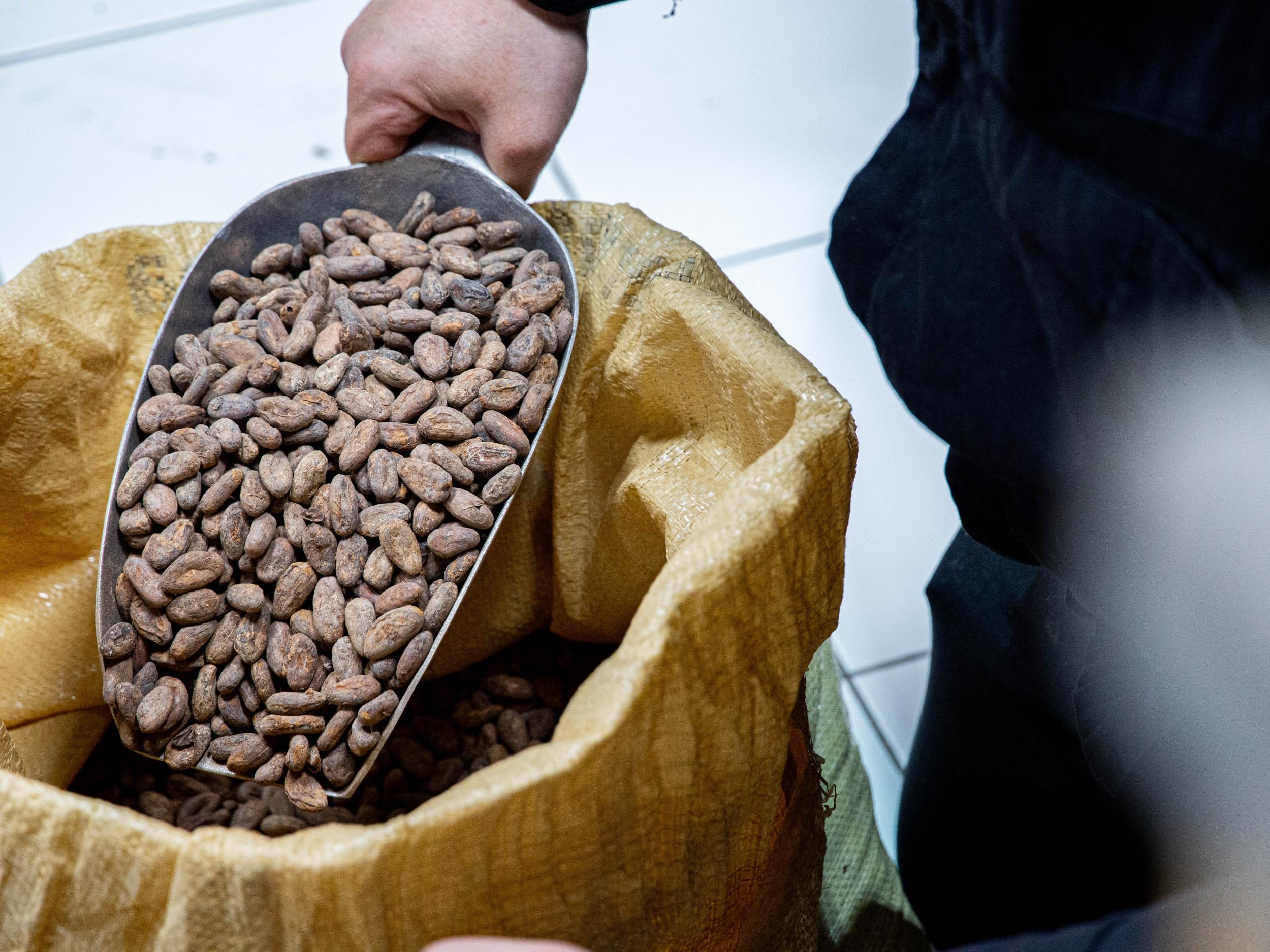 Initiez-vous aux accords vins et chocolats avec Aurélie et Jonathan - Image n°8 - Wecandoo
