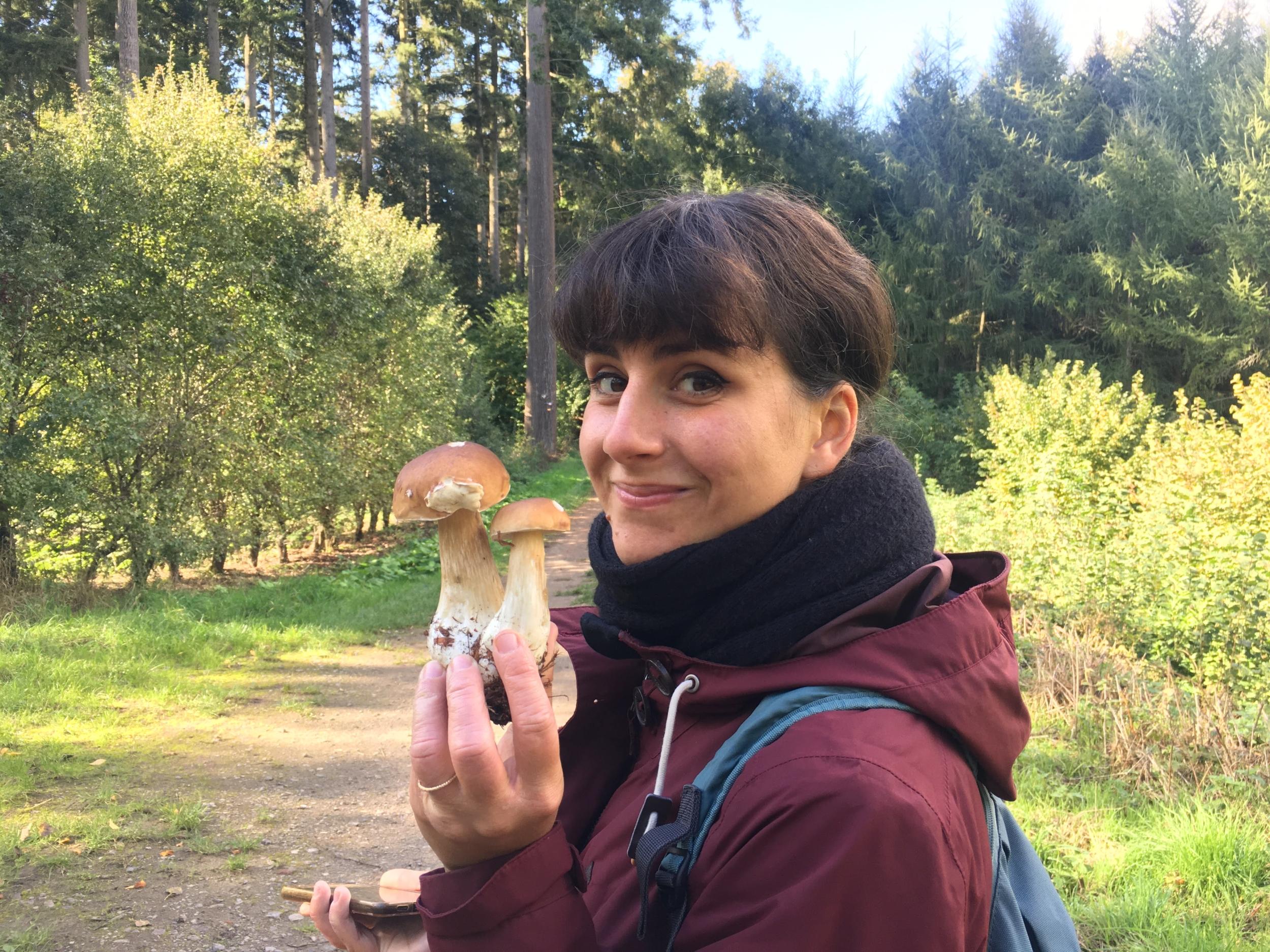 Découvrez et cuisinez des champignons sauvages sur une journée avec Milena et Anna - Image n°4 - Wecandoo