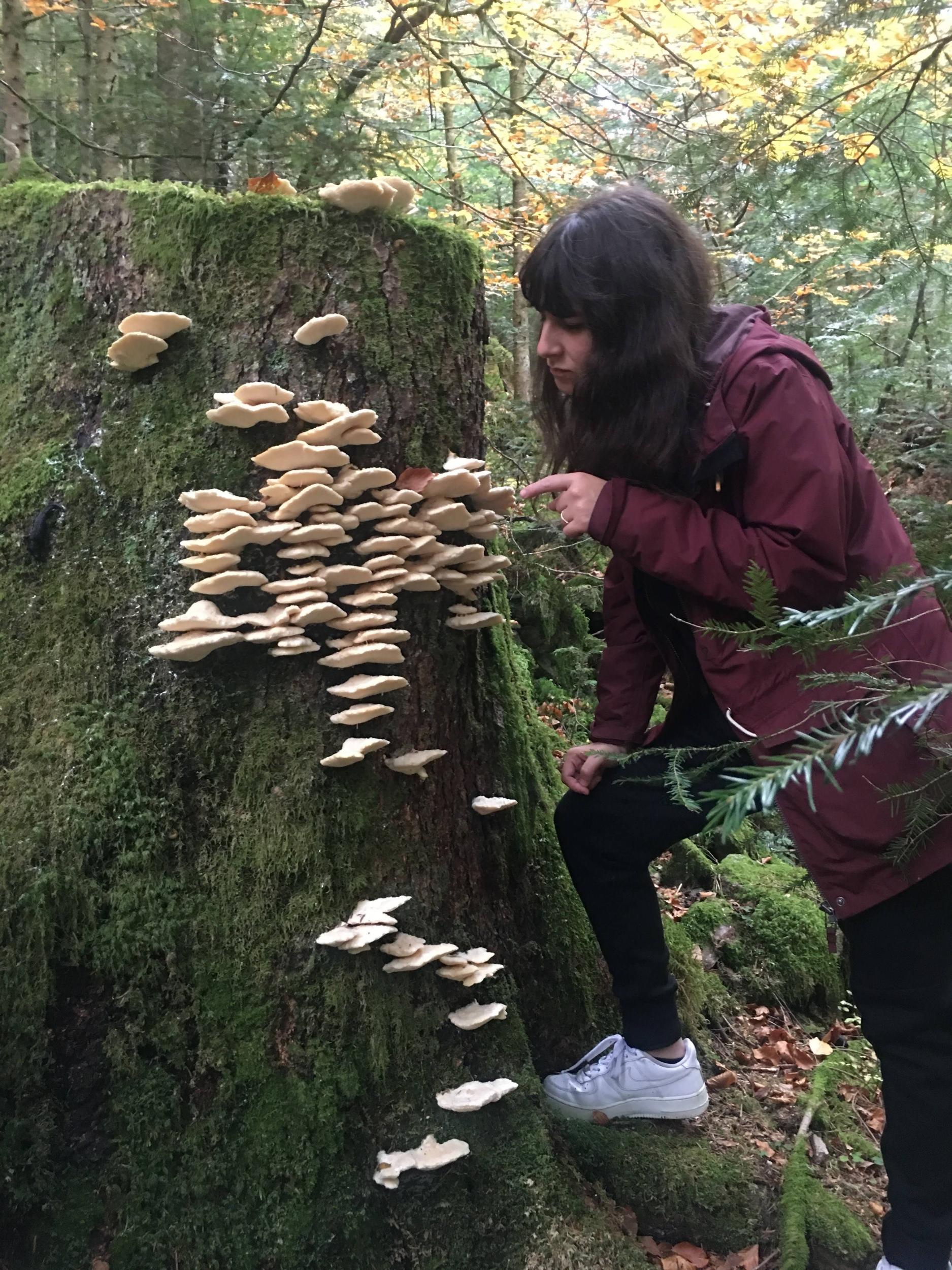 Découvrez et cuisinez des champignons sauvages sur une journée avec Milena et Anna - Image n°3 - Wecandoo