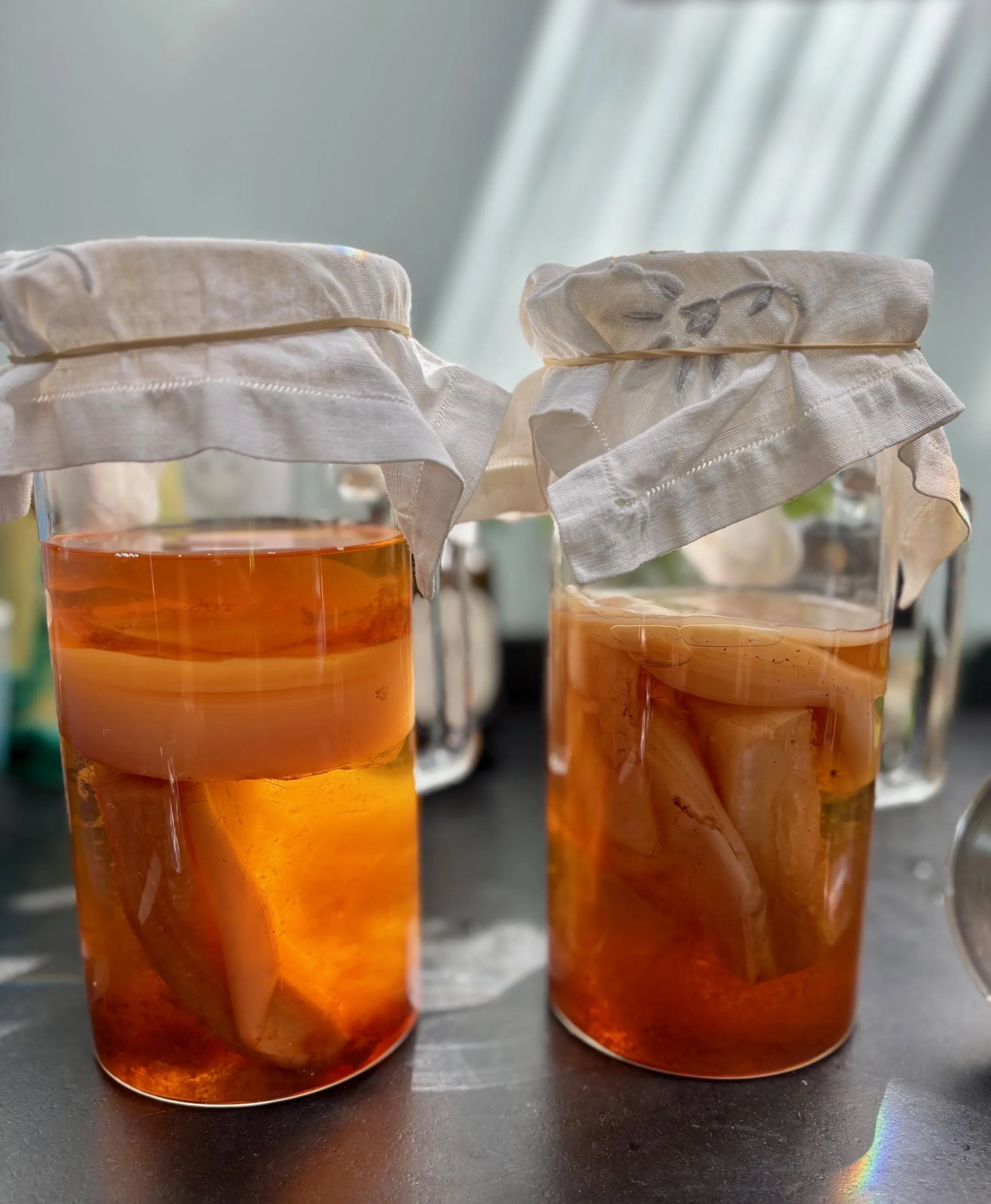 Réalisez vos délicieux kombuchas maison - Image n°9 - Wecandoo