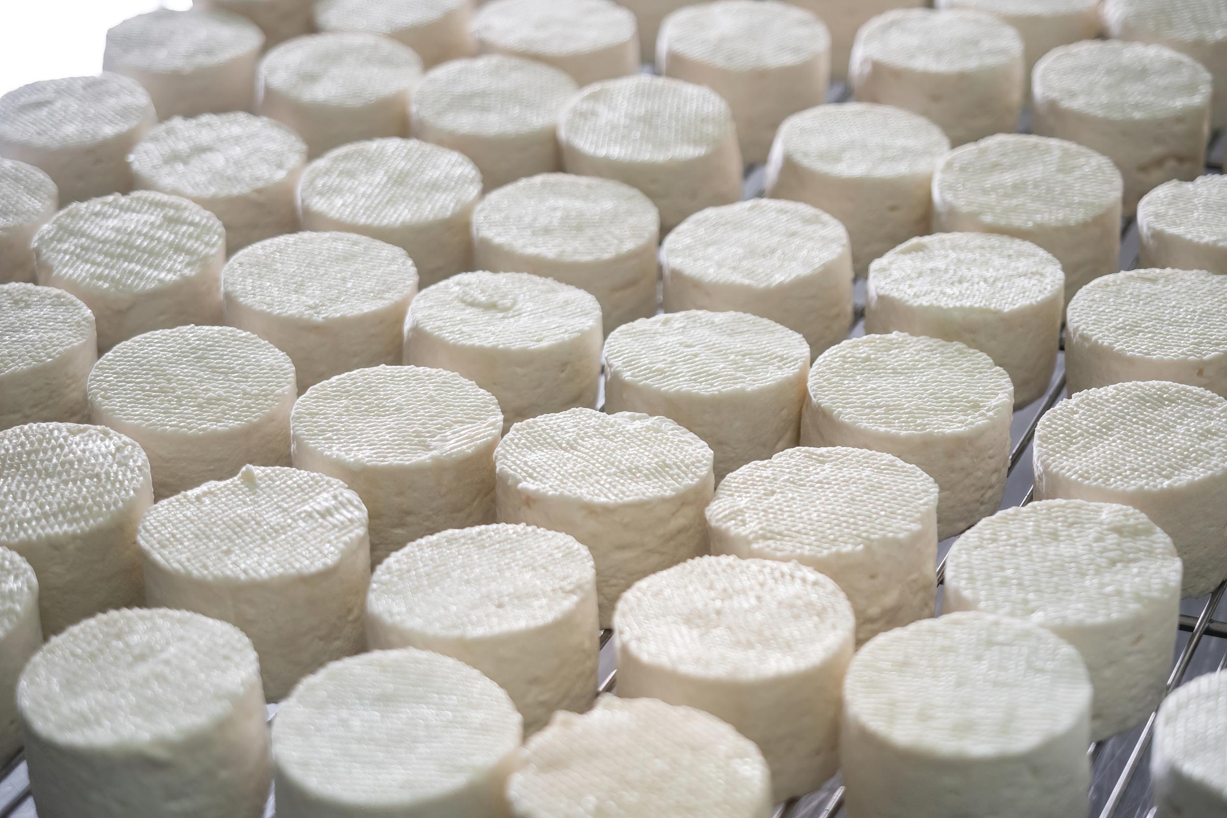 Partez à la découverte d’une ferme caprine avec Tifaine - Image n°5 - Wecandoo