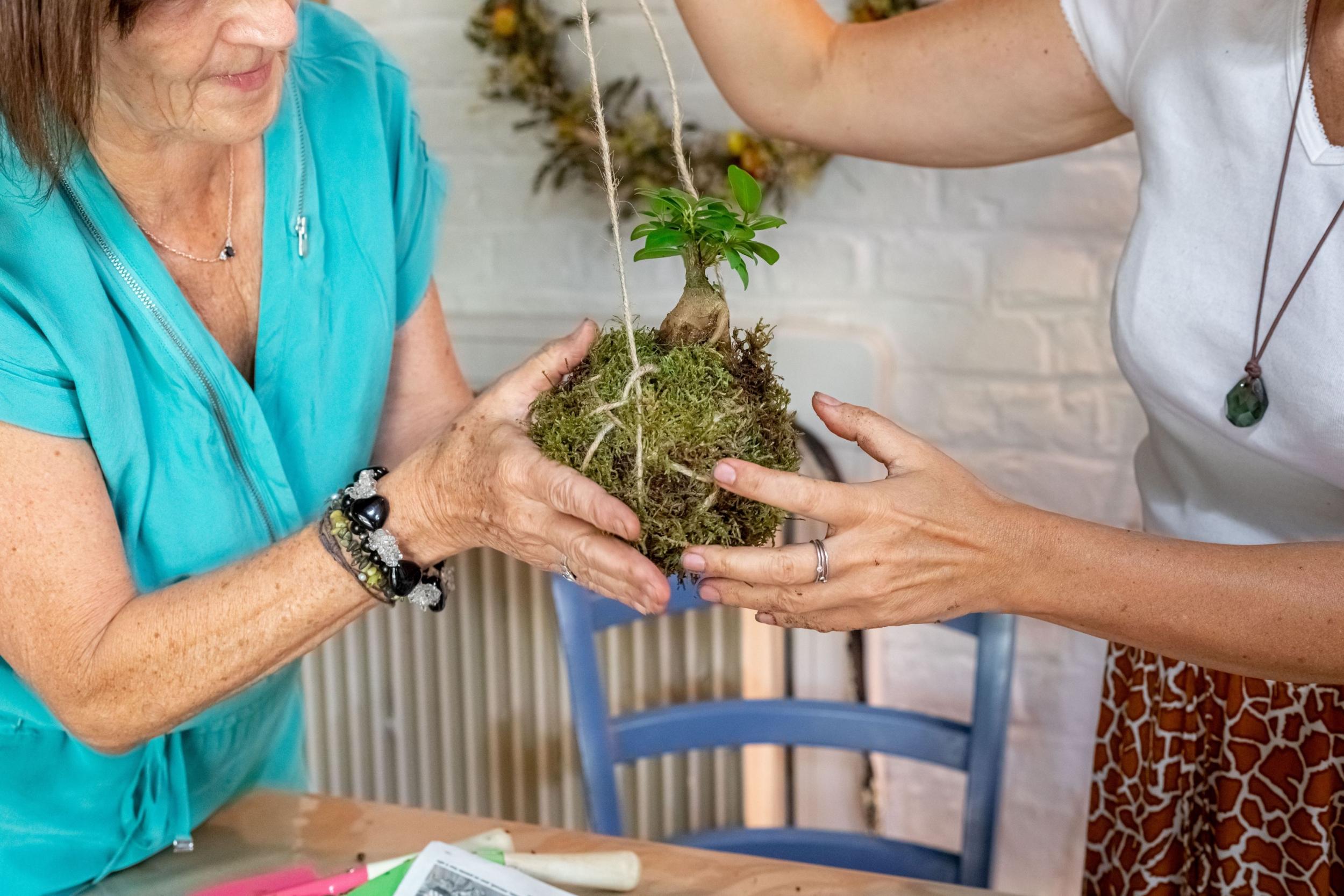 Créez votre kokedama avec Martine - Image n°8 - Wecandoo