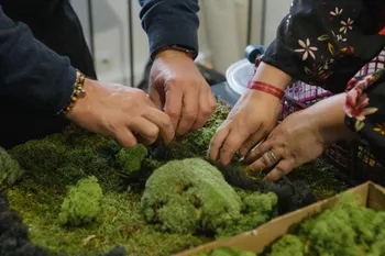 Réalisez votre cadre végétal