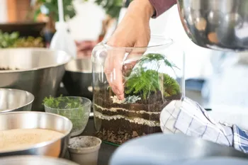 Composez votre terrarium à 4 mains