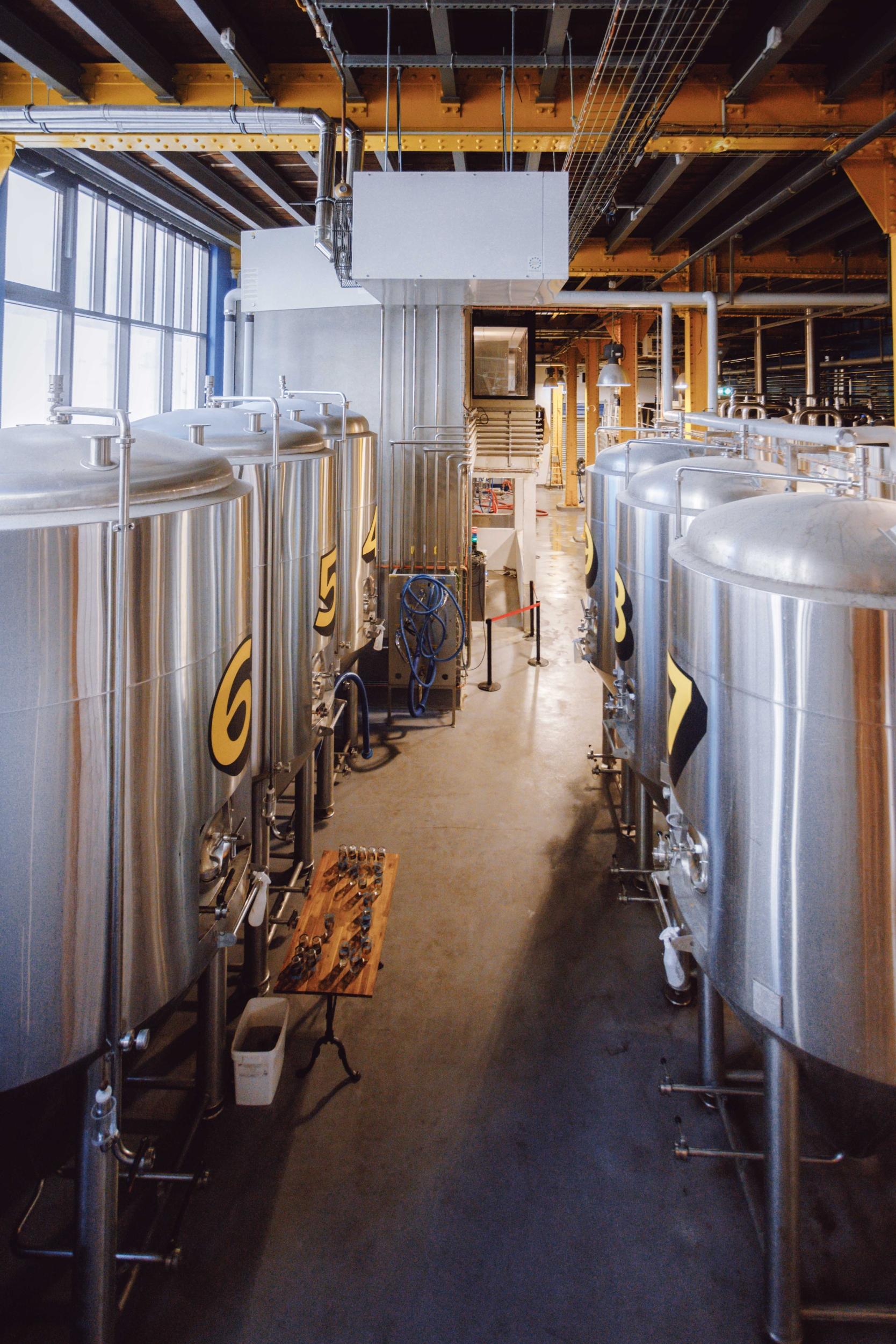 Dégustez 3 bières locales avec la team Paname - Image n°9 - Wecandoo