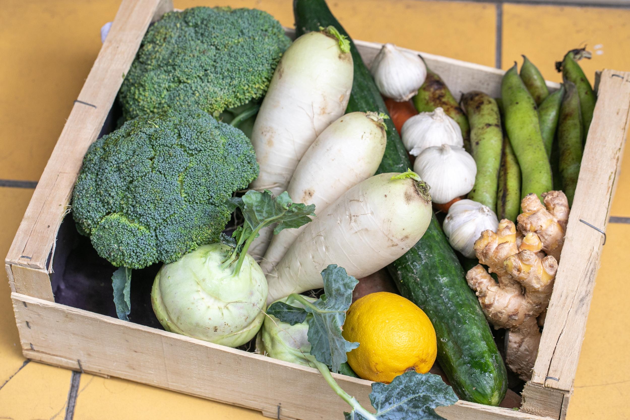 Réalisez vos sauces piquantes et condiments fermentés avec Ghita - Image n°6 - Wecandoo