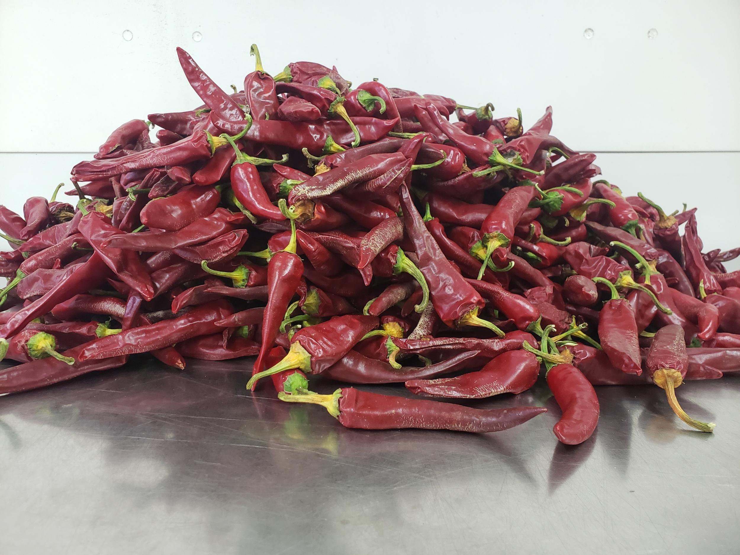 Réalisez vos sauces piquantes et condiments fermentés avec Ghita - Image n°2 - Wecandoo