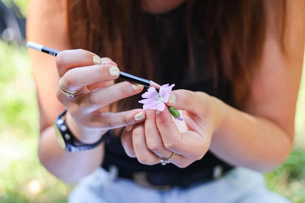 Apprenez à reconnaître les plantes sauvages