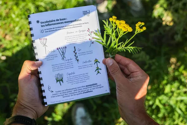 Immergez-vous dans le monde des plantes sauvages