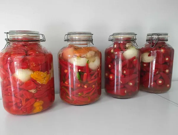 Réalisez vos sauces et condiments fermentés