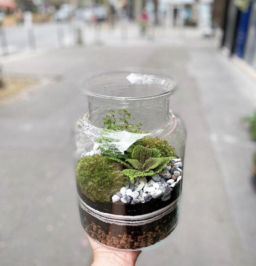 Créez et composez votre terrarium de taille L - Image n°1 - Wecandoo