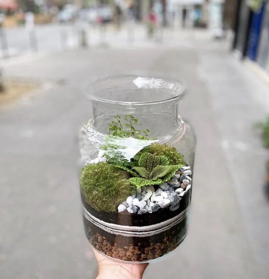Créez et composez votre terrarium de taille L - Image n°1 - Wecandoo