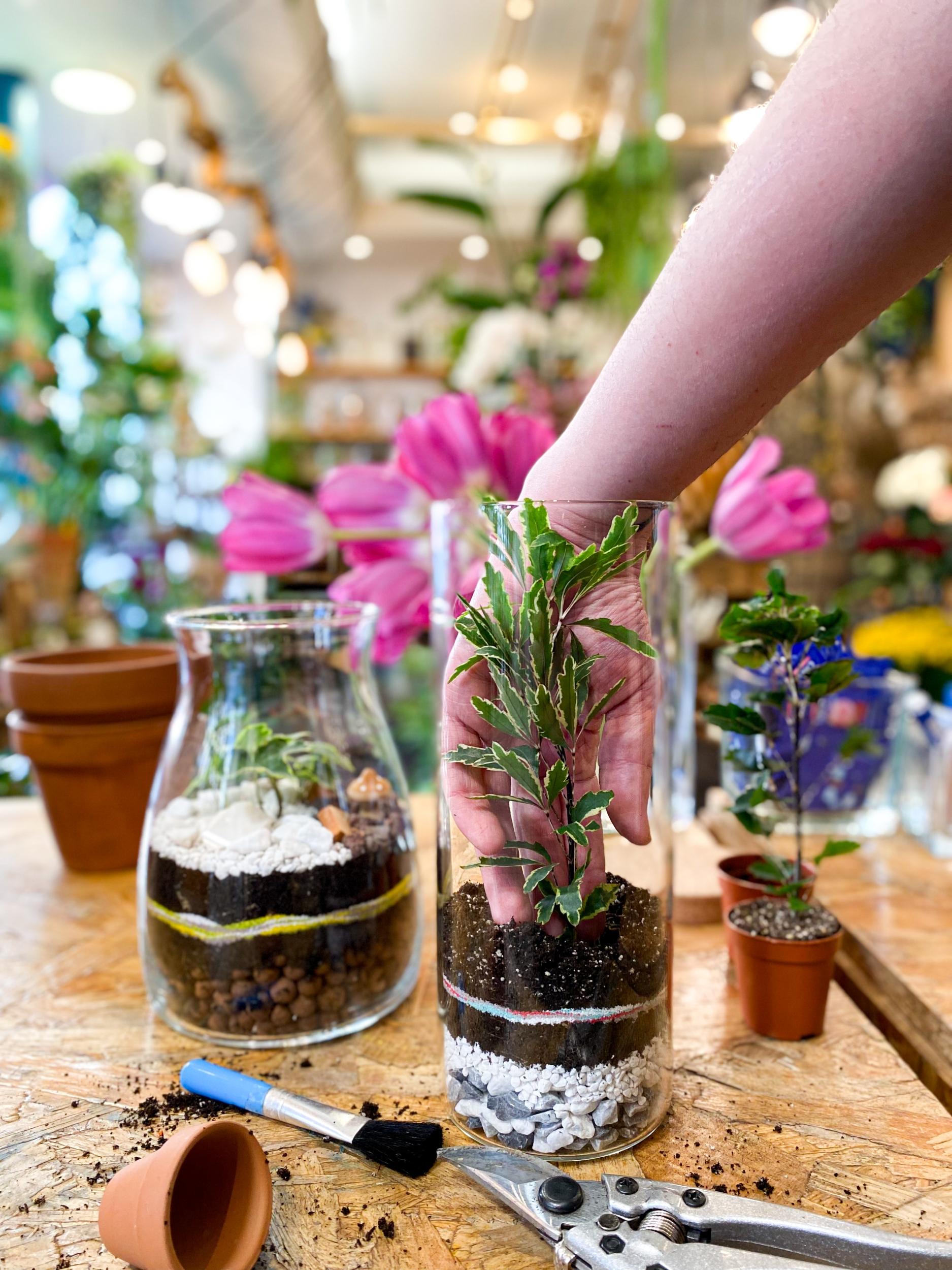 Inspirez votre équipe et réalisez chacun un terrarium unique avec Pascal - Afbeelding nr. 6 - Wecandoo