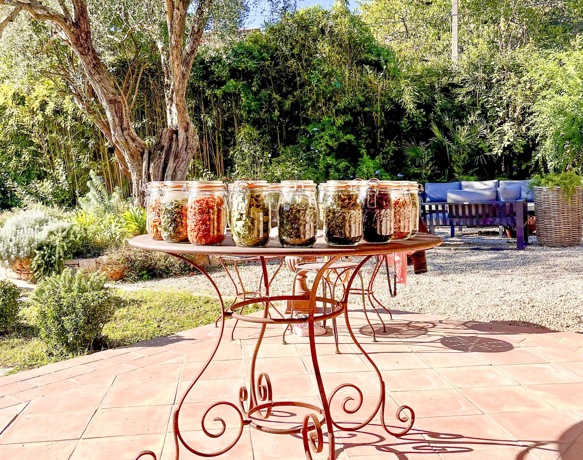 Fabriquez votre tisane sur-mesure en duo avec Maeva - Image n°9 - Wecandoo