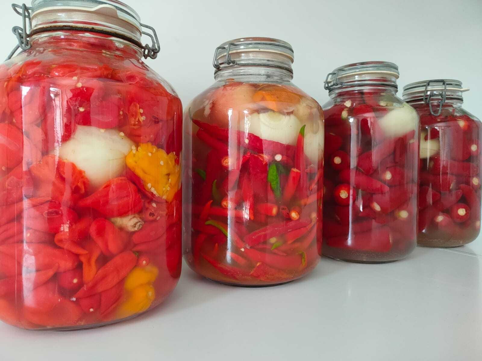 Réalisez vos sauces piquantes et condiments fermentés avec Ghita - Image n°10 - Wecandoo